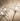 Luxury Dandelion Crystal Wall Light Sconce – Modern Decorative Wall Lamp for Elegant Home Interior Wall Lights
