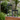 Orvanta Solar Lantern Outdoor Light with Remote Control | IP65 Waterproof Garden Decor Lamp Outdoor Lighting