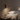 Luminex | Modern Minimalist LED Wall Light with Rotatable Reading Feature Wall Lights