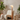 Caelistra | Elegant Japandi Modern Table and Floor Lamp for Living Room Floor Lamps