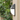 Modern Aluminum Wall Sconce Outdoor Light Fixture for Patio Outdoor Lighting