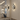 Modern Aluminum Wall Sconce - Minimalist LED Wall Lamp for Cozy Lighting Wall Lighting