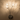 Luxury Dandelion Crystal Wall Light Sconce – Modern Decorative Wall Lamp for Elegant Home Interior Wall Lights