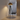 AxisDome | Elegant Modern Gold Tripod Floor Lamp for Luxurious Ambiance Floor Lamps