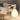 SolStone | Modern Minimalist Sculptural Egg Floor Lamp for Living Room Lamps & Lighting
