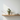 Amara Ceramic Vase – Sculptural Pottery Decor for Modern Home Interiors Vase