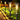 Elegant Solar Garden Pathway Lights - LED Outdoor Stake Lamps for Pathway Lighting Outdoor Lighting