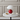 MushGlow | Playful High-Gloss Mushroom Table Lamp for Bedroom or Living Room Lamps