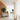 Hajime — Elegant Traditional Japanese Floor Lamp with White Fabric Shade for Living Room Lamps