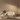 Axion | Modern Adjustable LED Black Floor Lamp for Living Room or Bedroom Lighting Floor Lamps