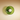 Sonnet Mid-Century Modern Wall Sconce Light with Dual-Layered Illumination Wall Light