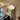 Lanora | Elegant Modern Fabric Kitchen Pendant Lighting with Walnut Accents Pendant Lights