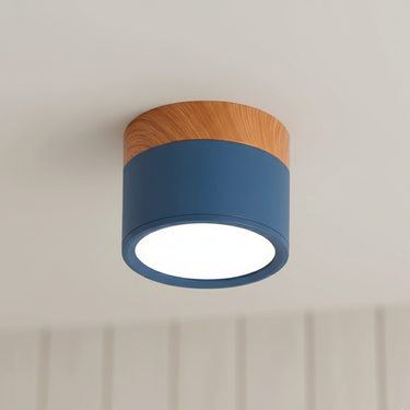 Modern Flush Mount Ceiling Light - Energy-Efficient LED Aluminum Fixture Ceiling Lights