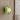 Sonnet Mid-Century Modern Wall Sconce Light with Dual-Layered Illumination Wall Light