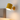 MacaronRay - Adjustable Wall Light & Wall Sconce with Pastel Scandinavian Design Wall Lights