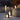 Elegant Outdoor Solar Lights - Eco-Friendly LED Garden Illumination Outdoor Lighting