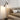 Modern Adjustable Dual-Head Black Floor Lamp for Stylish Lighting Floor Lamps