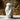 Modern Ceramic Face Vase – Unique Decorative Flower Vase for Floral Arrangements and Home Decor Vase
