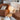 Modern Hot Air Balloon Floor Lamp - Silk Standing Lamp for Living Room Lamps