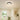 Modern Round Flush Mount Ceiling Light with LED Acrylic Diffuser Ceiling Lights