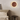 Scandinavian LED Wall Light - Natural Wood Wall Sconces with Warm White Light Wall Lighting