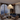 Avelune Elegant Pendant Light I Adjustable Pendant Lighting with Soft Diffused Illumination for Bedroom or Kitchen Ceiling Light