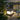 Waterproof Aluminum Outdoor LED Lights | Energy Efficient Landscape Lighting for Garden or Yard
