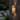 Travara Elegant Outdoor Wall Lamp | Yellow Travertine LED Up and Down Light for Patios & Garden