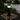 Modern Solar Pathway Lights | Weatherproof LED Eco-Friendly Design for Lawn or Garden