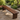 Elegant Pine Wood Shoe Storage Bench for Entryway & Living Room