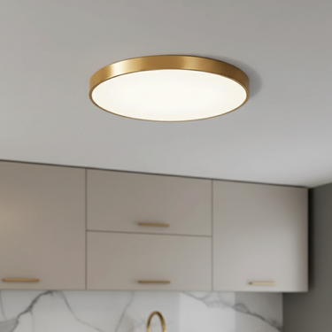 Modern Disc Flush Mount Ceiling Light - Ultra-Slim LED Fixture for Modern Spaces Ceiling Lights