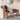 Creative Dog-Shaped Shoe Storage Bench with Bamboo Base for Entryway Benches