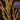 Solar Outdoor String Lights - Weather-Resistant Warm White LED for Outdoor Decor Outdoor Lighting