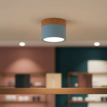 Modern Flush Mount Ceiling Light - Energy-Efficient LED Aluminum Fixture Ceiling Lights