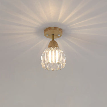 Modern Glass Ceiling & Wall Light for Dining Room or Hallway Ceiling Lights