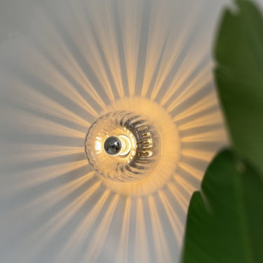Modern Mini Clear Glass Wall and Ceiling Light with Brass Accents Wall Lights