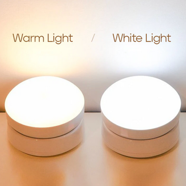 Oralee - 360° Rotatable Motion Sensor LED Wall Light Wall Lights