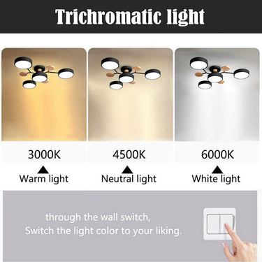 Sleek Modern Circular LED Ceiling Light for Living Room & Hallway Ceiling Lights