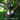 Elegant Solar-Powered Garden Lantern for Outdoor Ambiance Outdoor Lighting