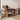 Creative Dog-Shaped Shoe Storage Bench with Bamboo Base for Entryway Benches